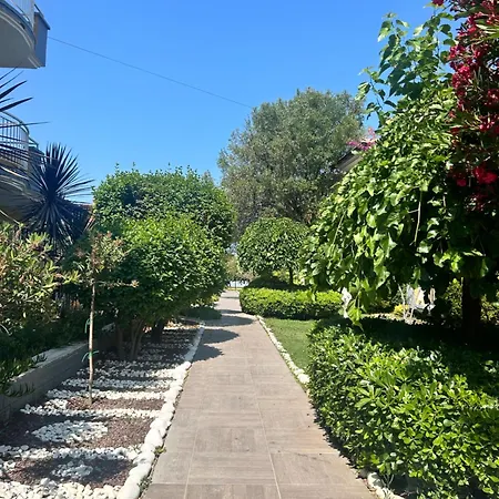 Merveille Kusadası